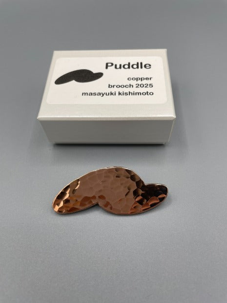 Brooch/paddle #1