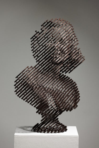 anonymous-human #63 "visage"
