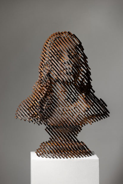 anonymous-human #64 "visage"