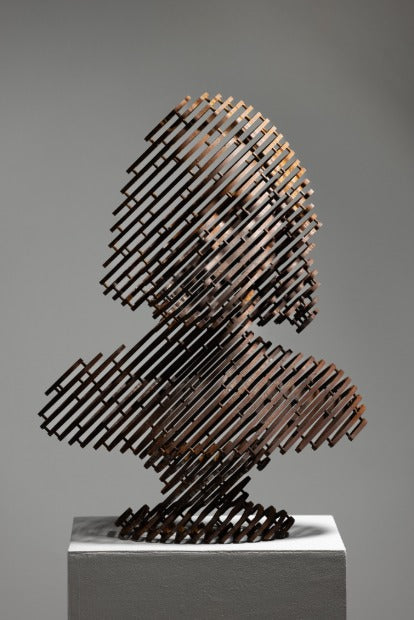 anonymous-human #65 "visage"