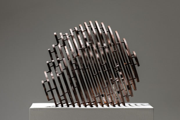 anonymous-human #66 "visage"